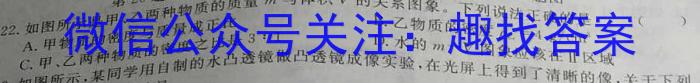 安徽省2023年名校之约·中考导向总复习模拟样卷（三）.物理