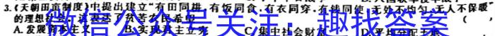 安徽省2023届九年级第一学期期末质量监测历史