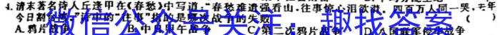 江西省2023届九年级下学期第一次联考历史