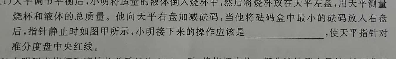 2023年普通高等学校招生全国统一考试金卷仿真密卷(十一)11 23新高考·JJ·FZMJ-物理