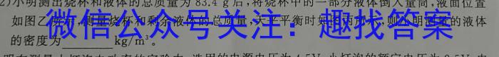 山东省聊城市2024届高二第一学期期末教学质量抽测物理`