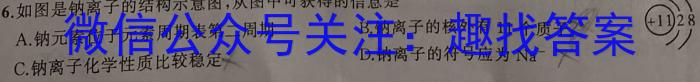 百师联盟 2023届高三冲刺卷(五) 新高考卷化学