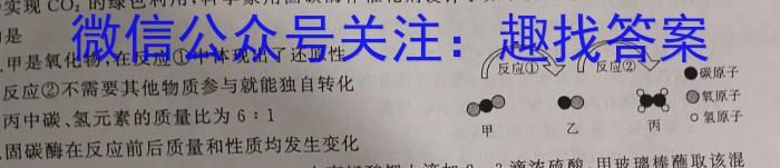 安徽天一大联考高三3月联考化学