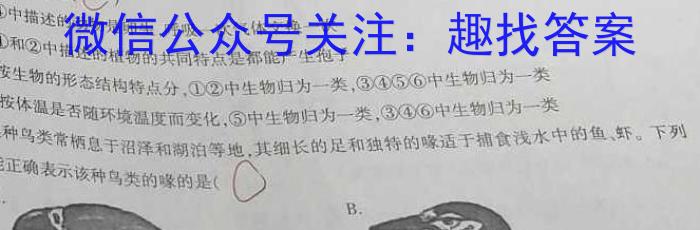 桂柳文化2023届高三桂柳鸿图信息冲刺金卷二(2)生物