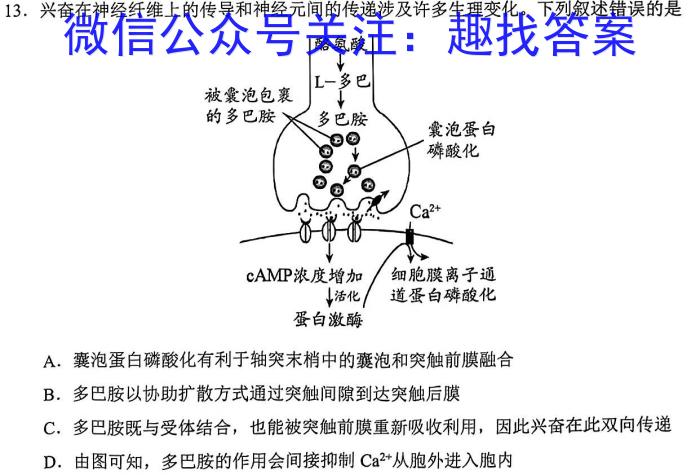 2023年银川一中、昆明一中高三联合考试一模(3月)生物