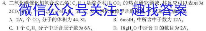安徽省九年级2022-2023学年新课标闯关卷（十一）AH化学