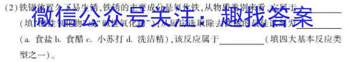 山东省2023届九年级第二学期片区九校联合检测化学
