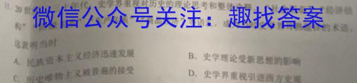 安徽省2023年下学期九年级学业水平测试模拟卷（三）历史