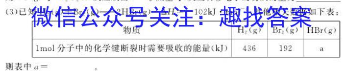 安徽第一卷·2023年安徽中考信息交流试卷（一）化学