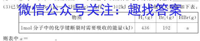 安徽第一卷·2023年安徽中考信息交流试卷（五）化学