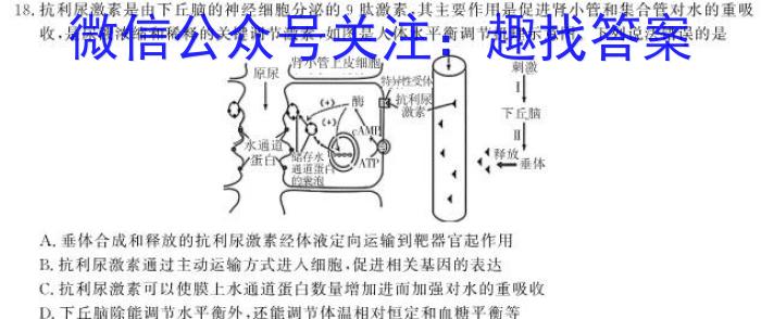 2023年湖南省五市十校高三年级3月联考生物