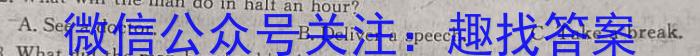 安徽第一卷·2023年九年级中考第一轮复*（十三）英语试题