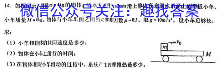 [贵阳一模]贵阳市2023年高三适应性考试(一)物理`