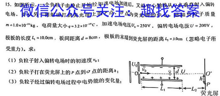 [南充二诊]四川省南充市高2023届高考适应性考试(二诊).物理