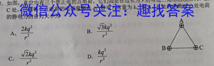 安徽省2023届第二学期九年级作业辅导练习q物理