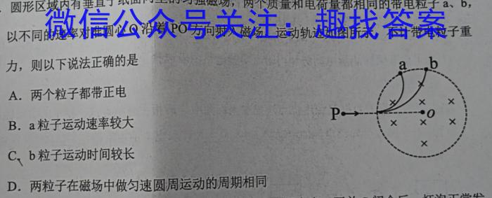 九师联盟2022-2023学年高三3月质量检测(L)物理`