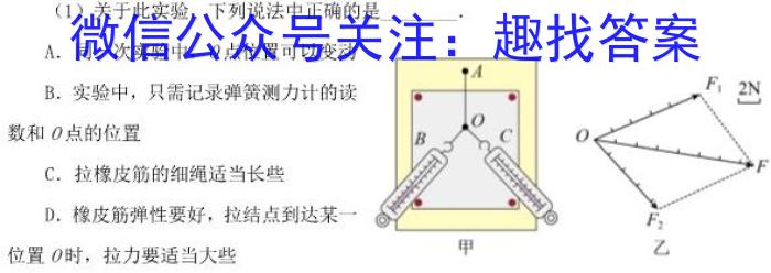 天一大联考·2023届高考冲刺押题卷（二）.物理