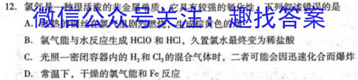 河北省2023届九年级结课质量评估（23-CZ136c）化学