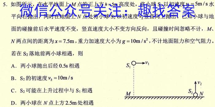 2023年普通高等学校招生全国统一考试金卷仿真密卷(十一)11 23新高考·JJ·FZMJ物理`