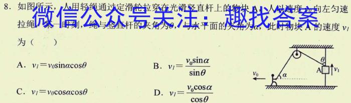 山西省2023届九年级中考适应性训练.物理