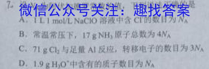 安徽省2023年九年级中考第一次模拟考试（新安中学）化学