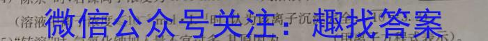 安徽省2024届八年级下学期阶段评估（一）化学