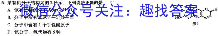 安徽省九年级2024-2023学年新课标闯关卷（十二）AH化学