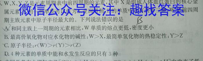 安徽第一卷·2023年中考安徽名校大联考试卷（一）B卷化学