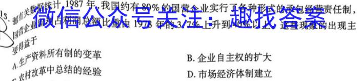 安徽省九年级2022-2023学年新课标闯关卷（十一）AH历史