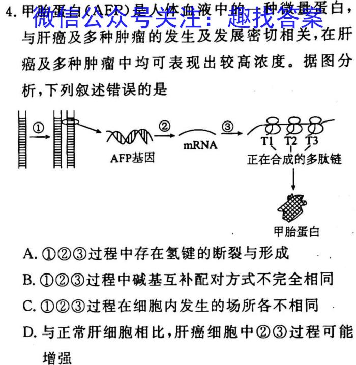 安徽省九年级2022-2023学年新课标闯关卷（十三）AH生物