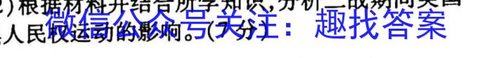 安徽省颍上县2023届九年级教学质量检测历史