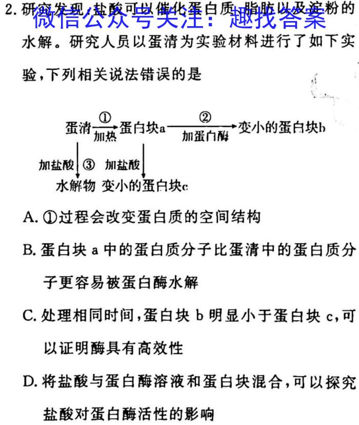 2023年湖南省五市十校高三年级3月联考生物试卷答案