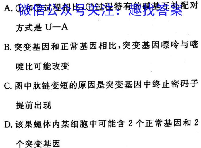 [淄博一模]山东省淄博市2022-2023学年高三模拟考试生物