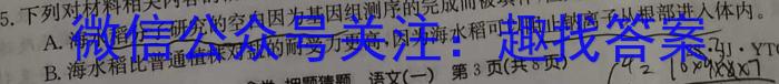 2023郑州二测高三3月联考政治1