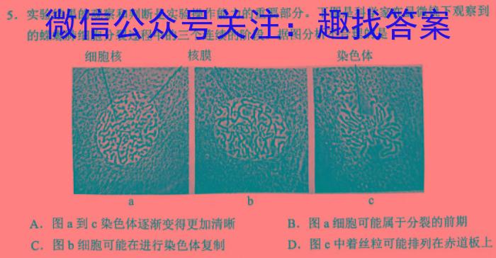 安徽省名校联考2025届第二学期高一年级开学考生物试卷答案