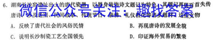 安徽省九年级2022-2023学年新课标闯关卷（十七）AH历史