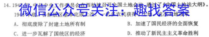 安徽省2024届芜湖市高二上学期期末学情检测（23-261B）历史