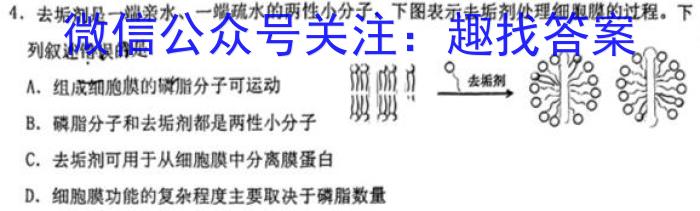 2023湖南省郴州市三月份联考生物试卷答案