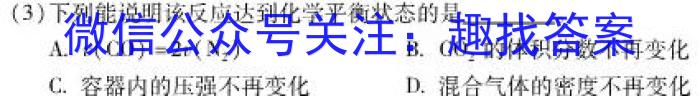 2023年陕西省初中学业水平考试全真模拟（一）化学