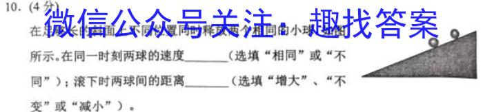 2023年辽宁省教研联盟高三第一次调研测试物理.