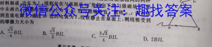 【陕西】2023年商洛市第一次高考模拟检测试卷（23-347C）.物理