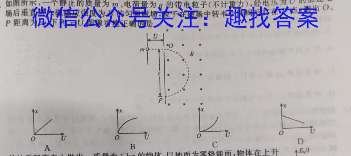 2023龙岩市质检高二3月联考.物理