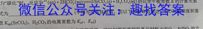 安徽省中考必刷卷·2023年名校内部卷（二）化学