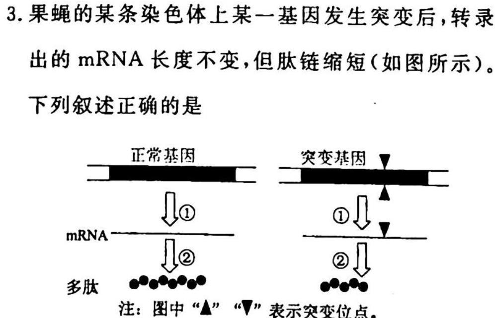 南宁市2024-2023高二上学期期末生物试题及答案