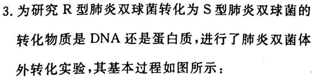 023年普通高等学校招生全国统一考试