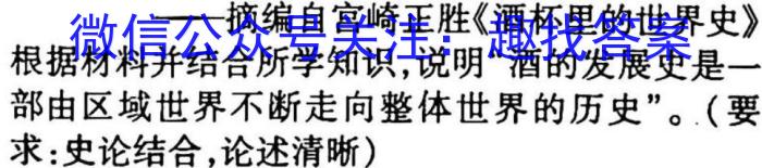 安徽省2023届九年级下学期教学质量调研考试历史