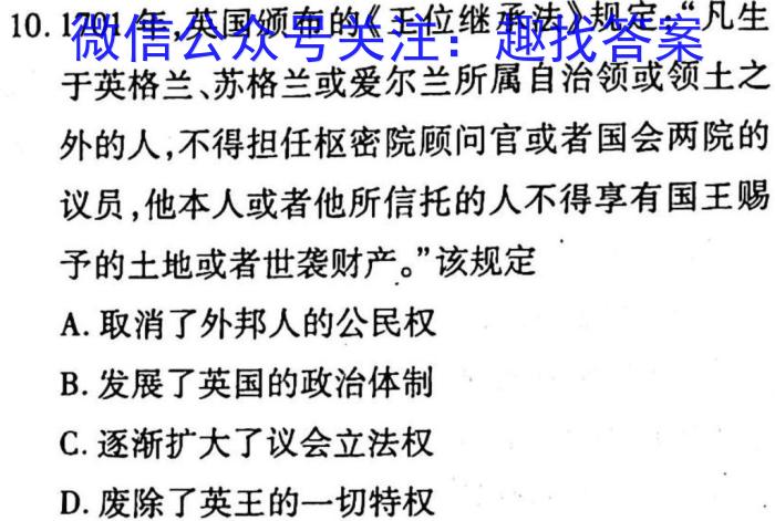 2022-023学年安徽省九年级下学期阶段性质量检测（六）历史