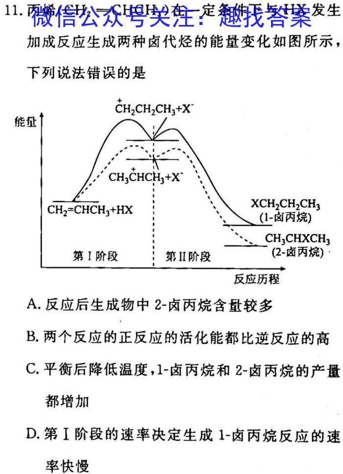 山东省聊城市2024届高二第一学期期末教学质量抽测化学