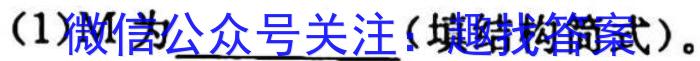 安徽省九年级2024-2023学年新课标闯关卷（十四）AH化学