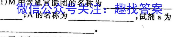 2023届名校之约·中考导向总复习模拟样卷(五)5化学